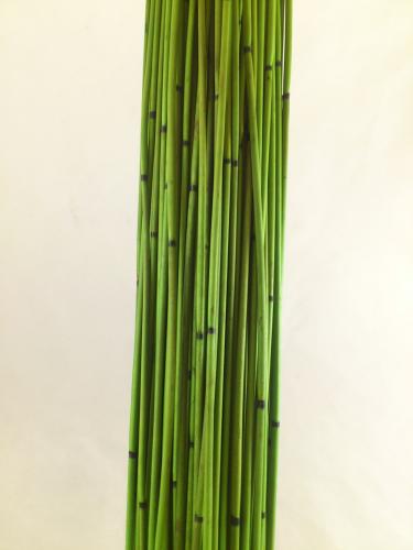 Bundle of reed 400 gr. 80 cm applegreen